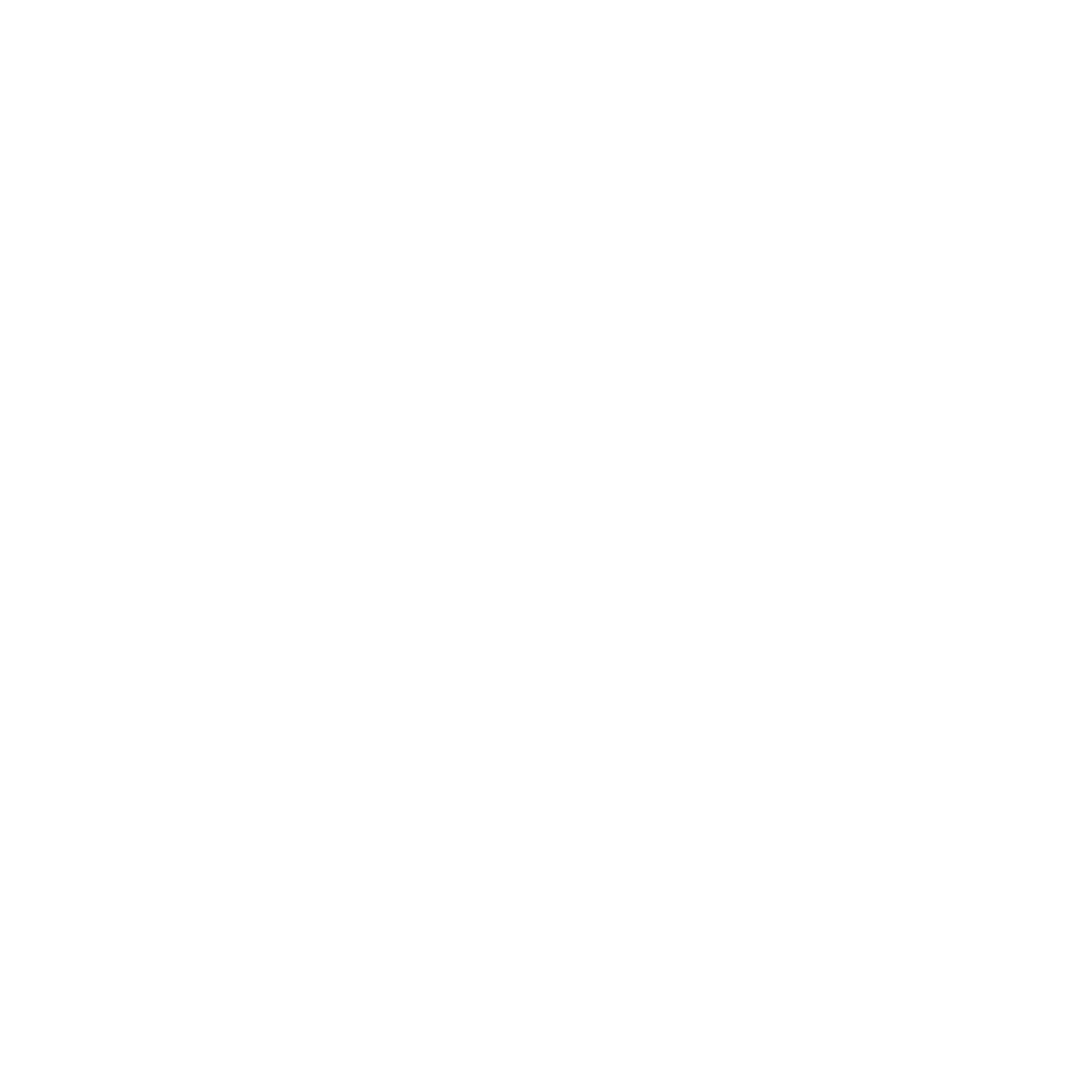 Twincity Marathon — 10th Anniversary 2025