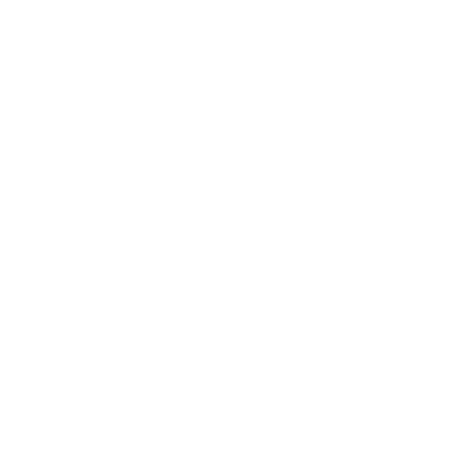 Farmville Run 2018