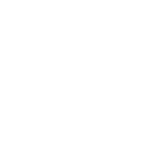 Saucony Run 2019