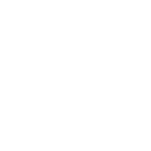 SJMC Run 2019